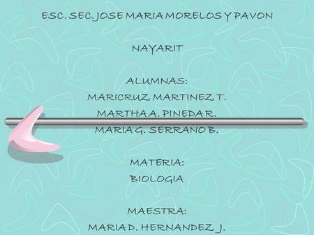 ESC. SEC. JOSE MARIA MORELOS Y PAVON