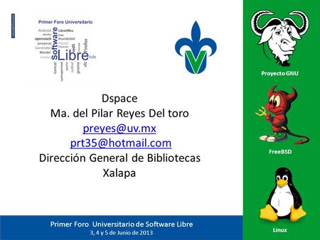 Dspace Ma. del Pilar Reyes Del toro mx