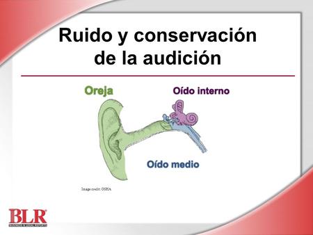 Ruido y conservación de la audición