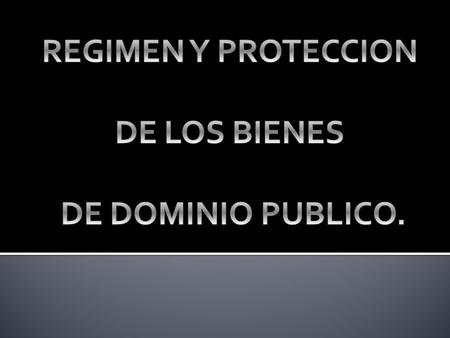 REGIMEN Y PROTECCION DE LOS BIENES DE DOMINIO PUBLICO.