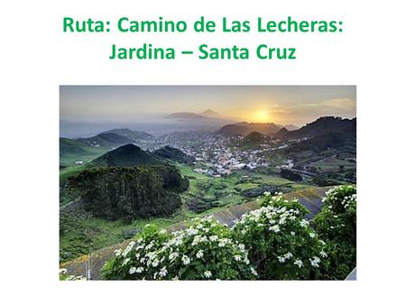 Ruta: Camino de Las Lecheras: Jardina – Santa Cruz