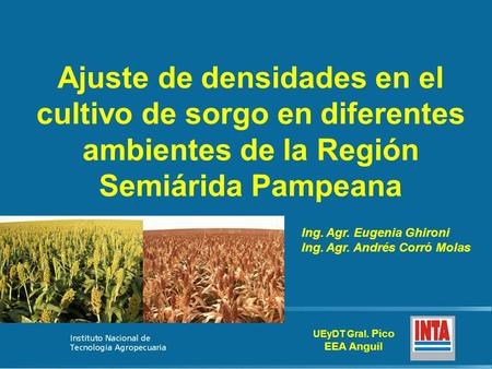 Ajuste de densidades en el cultivo de sorgo en diferentes ambientes de la Región Semiárida Pampeana UEyDT Gral. Pico EEA Anguil Ing. Agr. Eugenia Ghironi.