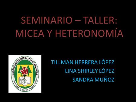 SEMINARIO – TALLER: MICEA Y HETERONOMÍA TILLMAN HERRERA LÓPEZ LINA SHIRLEY LÓPEZ SANDRA MUÑOZ.
