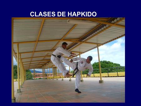 CLASES DE HAPKIDO.