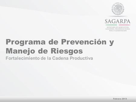 Programa de Prevención y Manejo de Riesgos Fortalecimiento de la Cadena Productiva Febrero 2013.