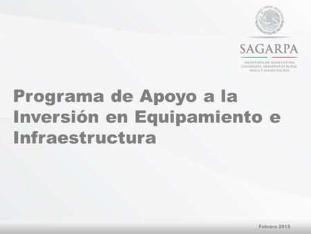 Programa de Apoyo a la Inversión en Equipamiento e Infraestructura Febrero 2013.