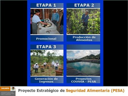 Proyectos Estratégicos Componente PESA Proyecto Estratégico de Seguridad Alimentaria (PESA)