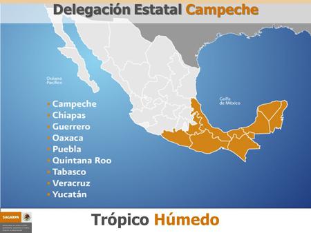 Proyectos Estratégicos Componente Trópico Húmedo Delegación Estatal Campeche.