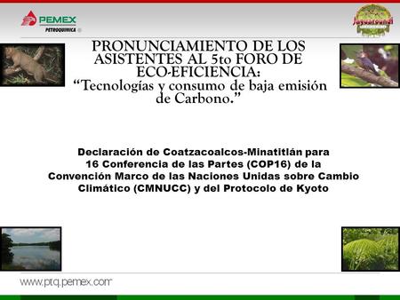 PRONUNCIAMIENTO DE LOS ASISTENTES AL 5to FORO DE ECO-EFICIENCIA: “Tecnologías y consumo de baja emisión de Carbono.” Declaración de Coatzacoalcos-Minatitlán.