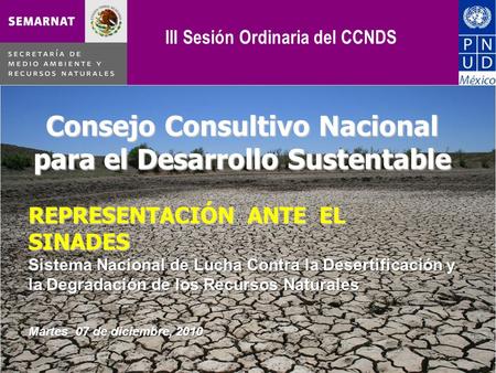 Consejo Consultivo Nacional para el Desarrollo Sustentable REPRESENTACIÓN ANTE EL SINADES Sistema Nacional de Lucha Contra la Desertificación y la Degradación.
