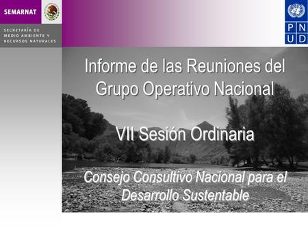 Informe de las Reuniones del Grupo Operativo Nacional VII Sesión Ordinaria Consejo Consultivo Nacional para el Desarrollo Sustentable Informe de las Reuniones.