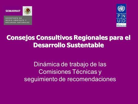 Consejos Consultivos Regionales para el Desarrollo Sustentable Dinámica de trabajo de las Comisiones Técnicas y seguimiento de recomendaciones.
