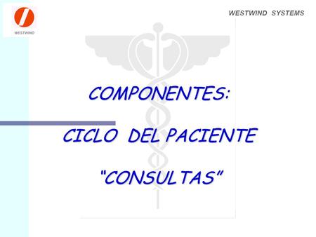 WESTWIND SYSTEMS COMPONENTES: CICLO DEL PACIENTE “CONSULTAS”