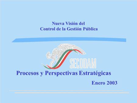 Nueva Visión del Control de la Gestión Pública Procesos y Perspectivas Estratégicas Enero 2003.