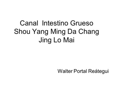 Canal Intestino Grueso Shou Yang Ming Da Chang Jing Lo Mai
