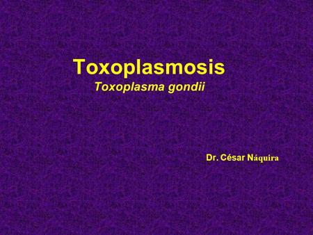 Toxoplasmosis Toxoplasma gondii