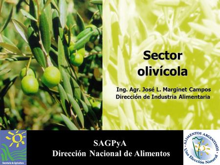 Sector olivícola SAGPyA Dirección Nacional de Alimentos