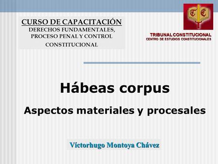 TRIBUNAL CONSTITUCIONAL CENTRO DE ESTUDIOS CONSTITUCIONALES
