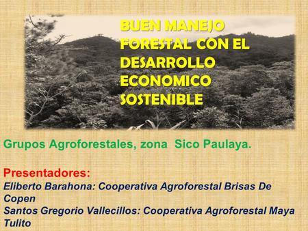 Grupos Agroforestales, zona Sico Paulaya. Presentadores: Eliberto Barahona: Cooperativa Agroforestal Brisas De Copen Santos Gregorio Vallecillos: Cooperativa.