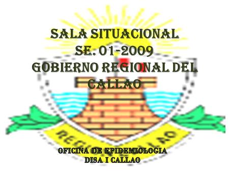 SALA SITUACIONAL SE. 01-2009 GOBIERNO REGIONAL DEL CALLAO.