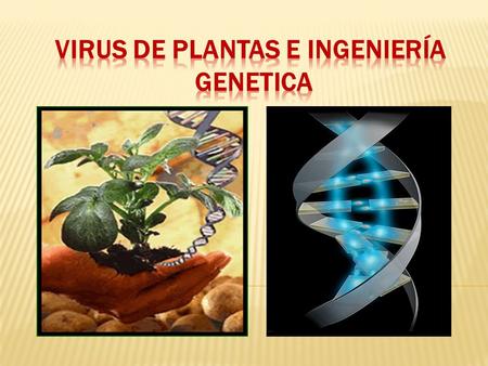 VIRUS DE PLANTAS E INGENIERÍA GENETICA