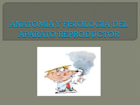 ANATOMIA Y FISIOLOGIA DEL APARATO REPRODUCTOR