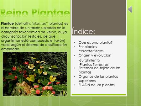 Reino Plantae Plantae (del latín: plantae, plantas) es el nombre de un taxón ubicado en la categoría taxonómica de Reino, cuya circunscripción (esto.