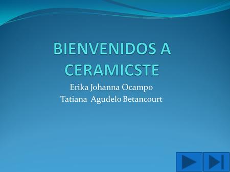 Erika Johanna Ocampo Tatiana Agudelo Betancourt. Contenido Descripción de el producto Muestra de el producto Nuestro objetivo Misión Visión Sector económico.