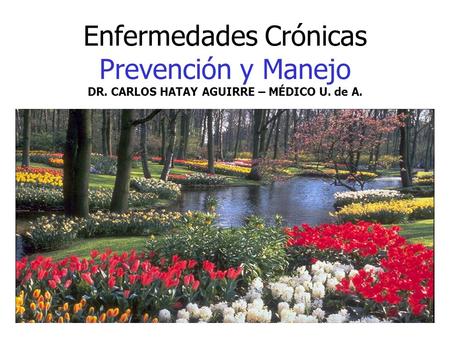 Enfermedades Crónicas Prevención y Manejo DR
