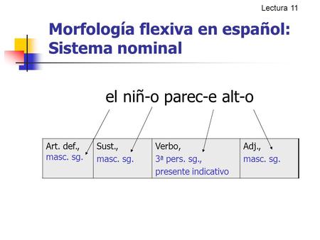 Morfología flexiva en español: Sistema nominal