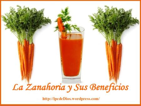 Las zanahorias son vegetales muy conocidos por todos y sus virtudes medicinales se pueden aprovechar de diversas formas, ya sea crudas, cocidas, en zumos.