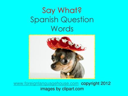 Say What? Spanish Question Words