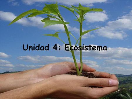 Unidad 4: Ecosistema.