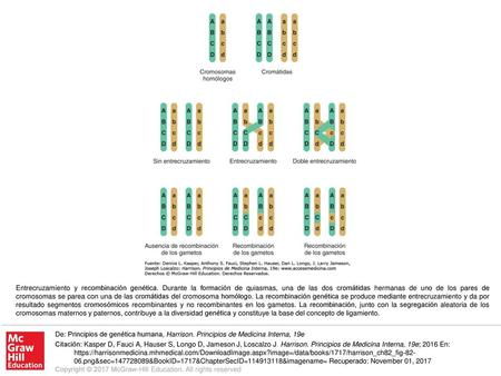 Entrecruzamiento y recombinación genética