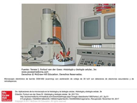 Microscopio electrónico de barrido DSM-950 (scanning) con aceleración de voltaje de 30 keV con detectores de electrones secundarios y de retrodispersos.