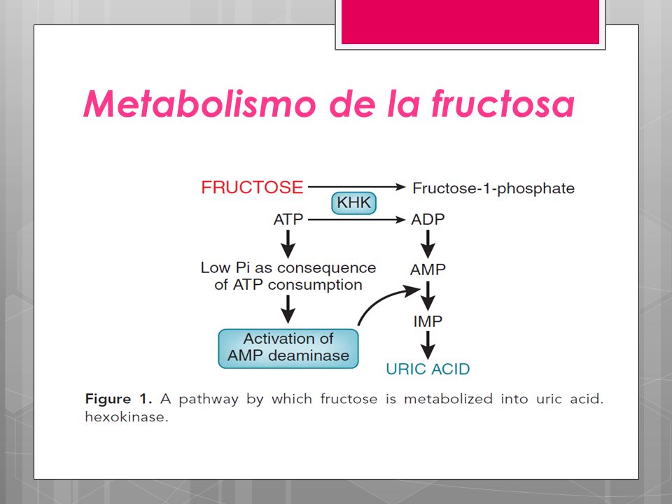 El efecto de la fructosa en la biología y la enfermedad El efecto de la fructosa en la biología y la enfermedad