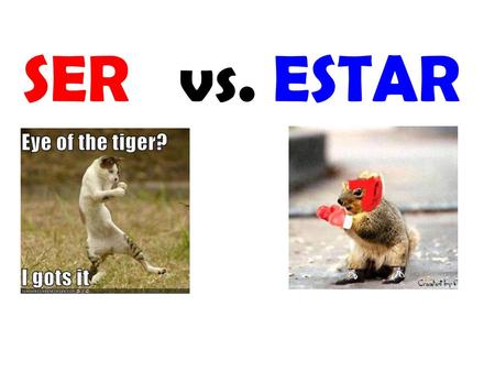 SER vs. ESTAR.