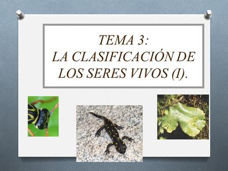 TEMA 3: LA CLASIFICACIÓN DE LOS SERES VIVOS (I)..