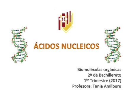 ÁCIDOS NUCLEICOS Biomoléculas orgánicas 2º de Bachillerato