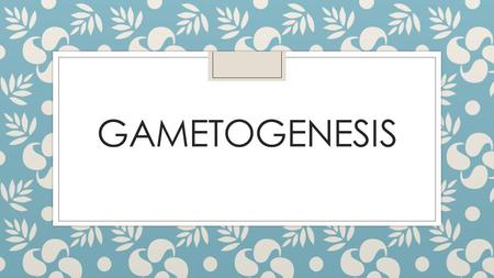 GAMETOGENESIS. ¿ Que es? ◦ Es la formación de gametos por medio de la meiosis a partir de células germinales. Mediante este proceso, el contenido genético.