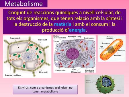Els virus, com a organismes acel·lulars, no tenen metabolisme