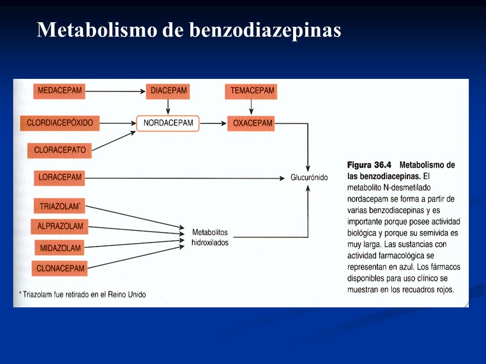 Manejo Analgsicos en caninos - WhiskersVet - YouTube
