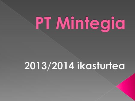 PT Mintegia 2013/2014 ikasturtea.