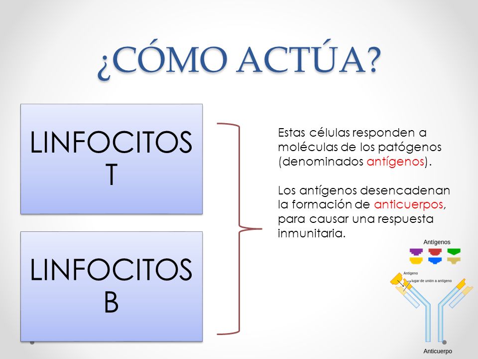 OBSERVA https://www.youtube.com/watch?v=m_v6wk3Mo ppt OBSERVA https://www.youtube.com/watch?v=m_v6wk3Mo ppt