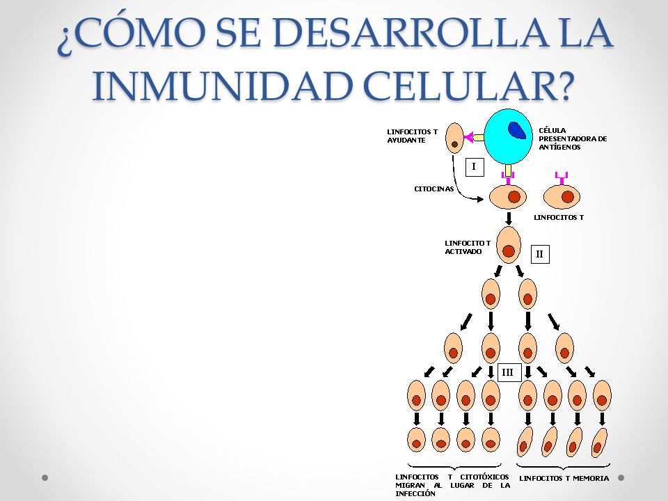 OBSERVA https://www.youtube.com/watch?v=m_v6wk3Mo ppt OBSERVA https://www.youtube.com/watch?v=m_v6wk3Mo ppt
