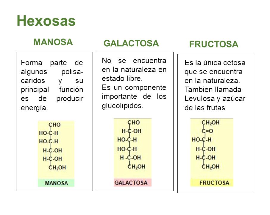 BIOMOLECULAS BIOMOLECULAS - ppt descargar BIOMOLECULAS BIOMOLECULAS - ppt descargar