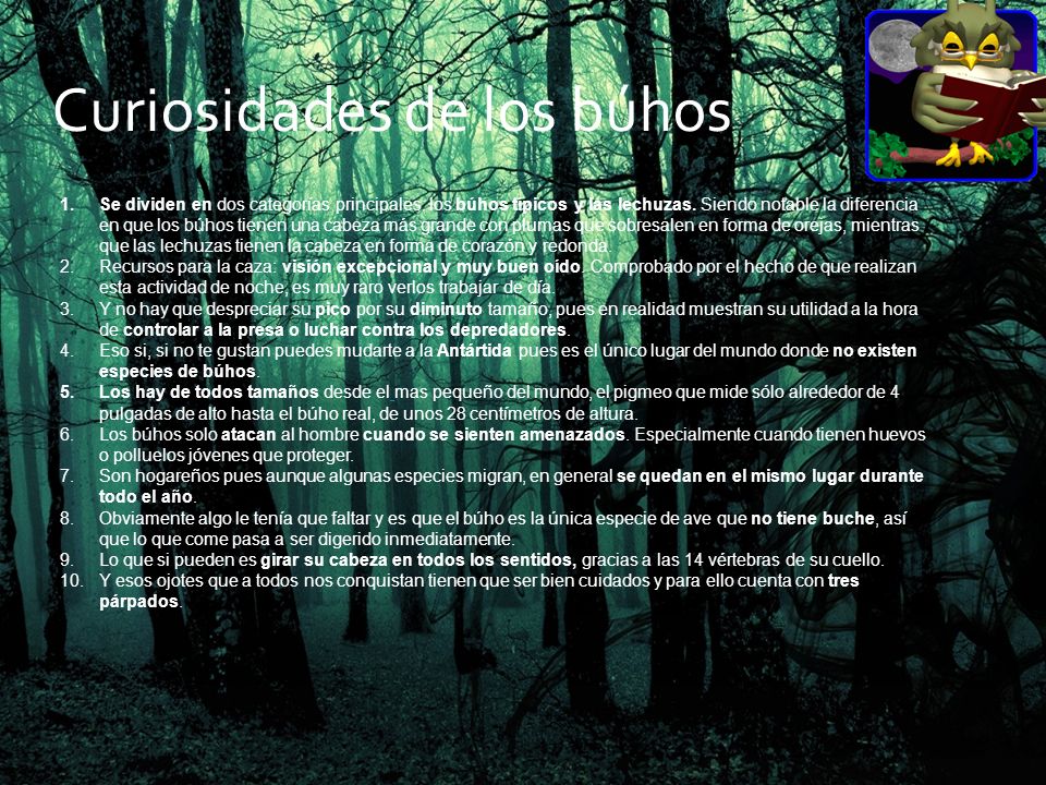 Los Búhos Camila Cares Novoa. - ppt descargar Los Búhos Camila Cares Novoa. - ppt descargar