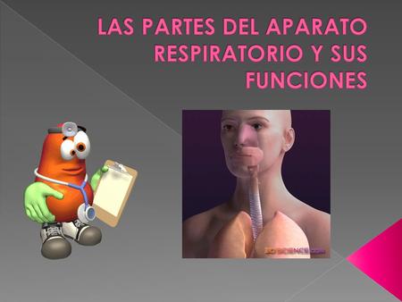 LAS PARTES DEL APARATO RESPIRATORIO Y SUS FUNCIONES