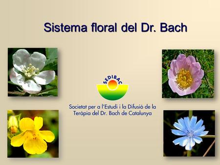 Sistema floral del Dr. Bach