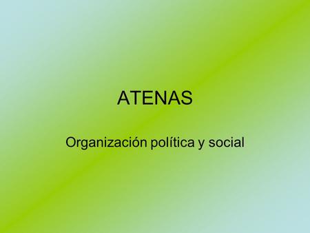 Organización política y social